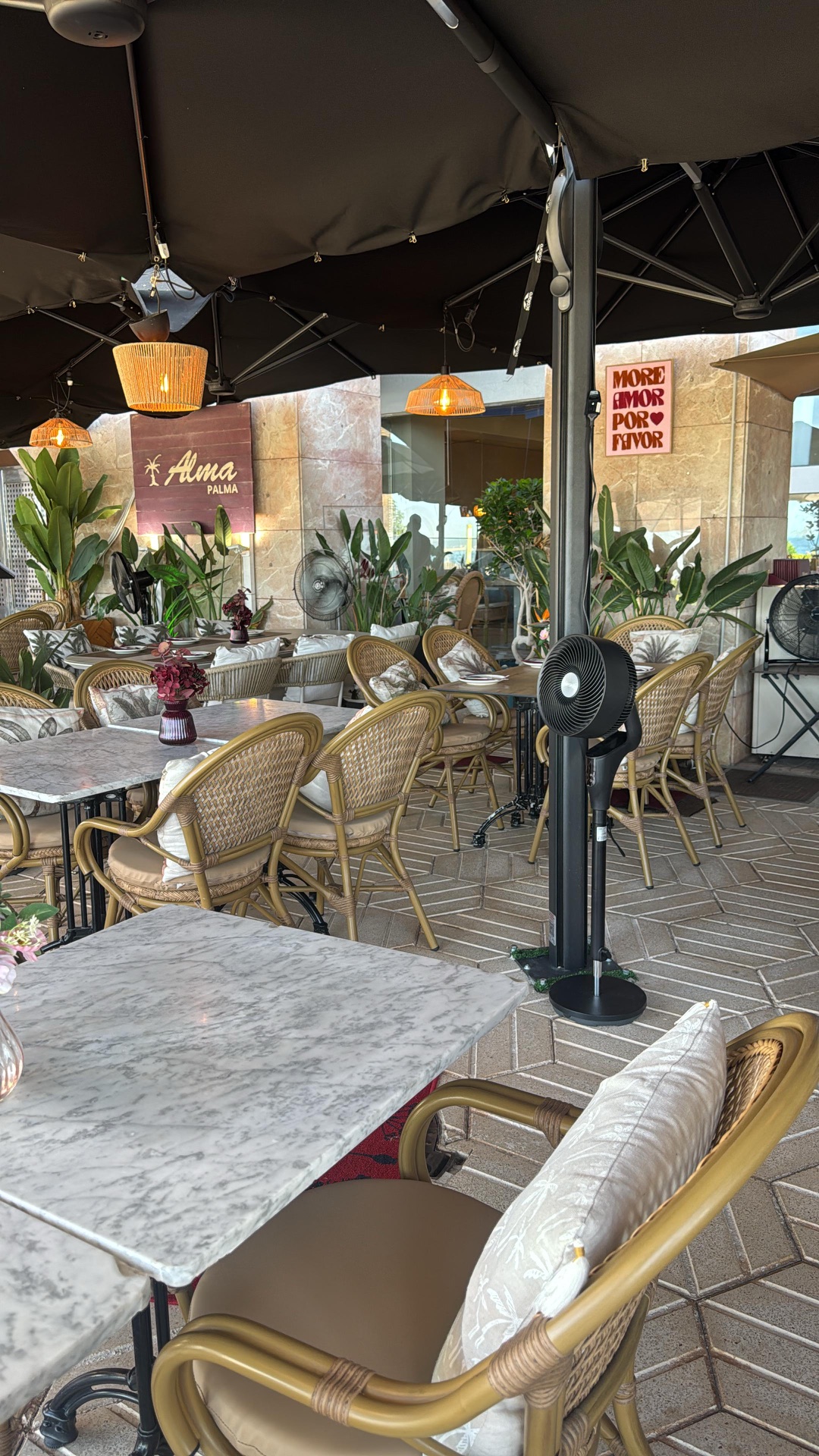 Best Beachfront Restaurants in Playa de Palma: A Local Guide